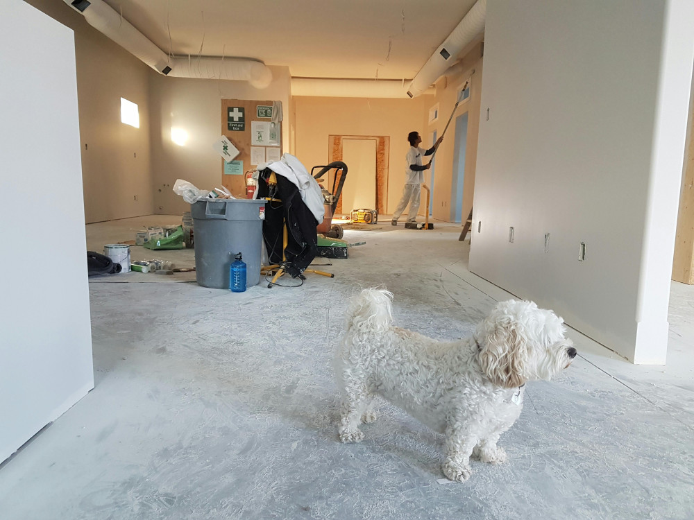 Condo Remodeling Expenditures